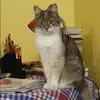 Отзыв от Анастасия Егорова